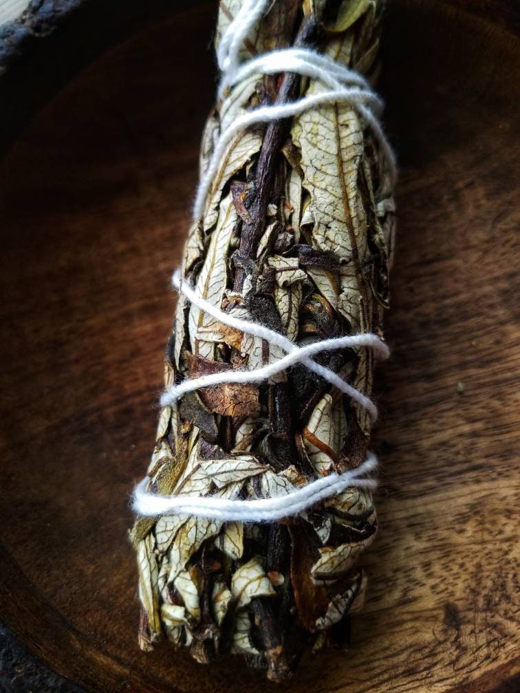 Yerba Santa Flower Smudge Wand Smoke Cleanse Ritual House Smudging Cleanse Sage Stick Natural Incense Smudging Dried Herb Bundle Altar Tools