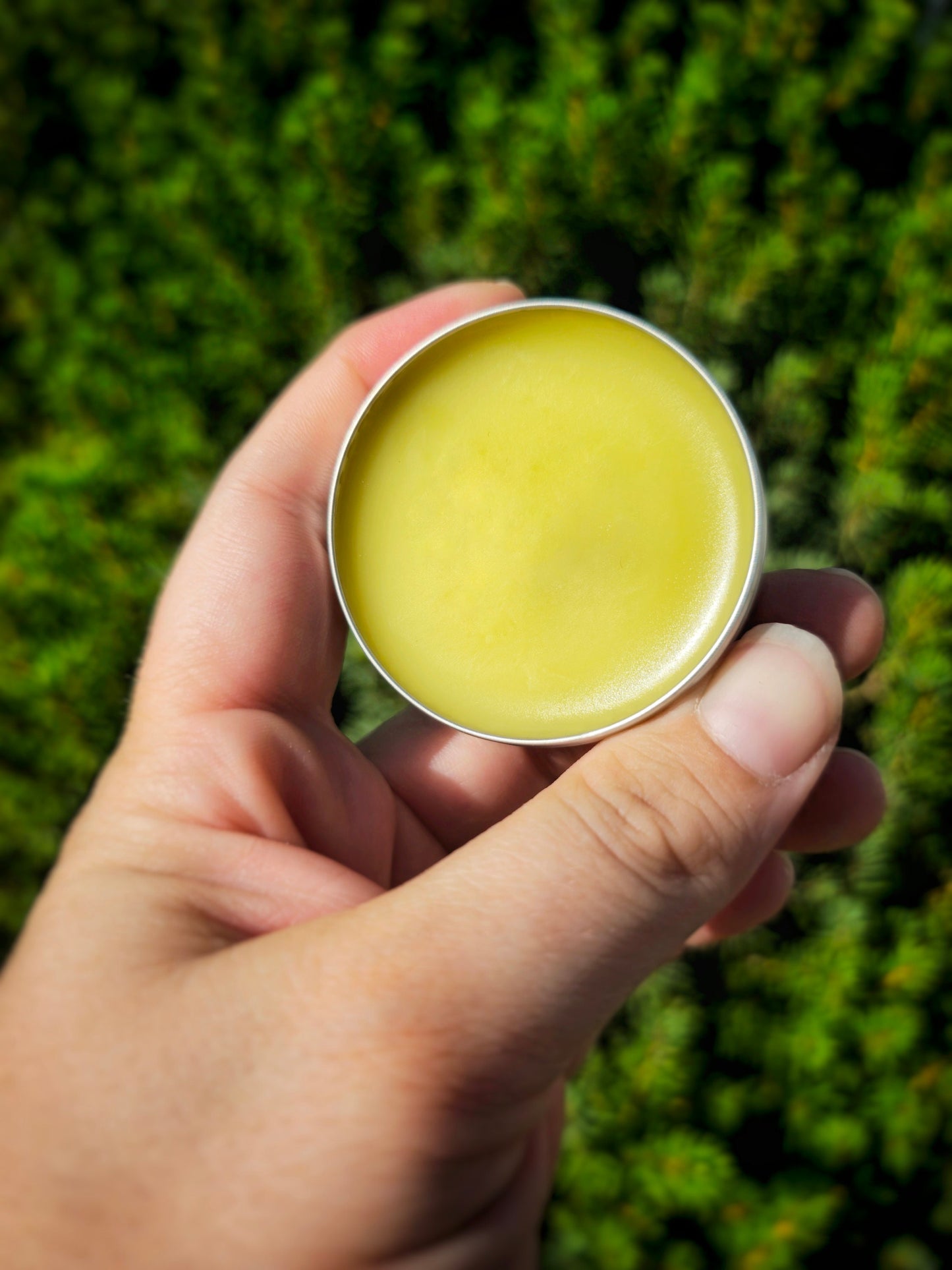 Simply Lavender Salve, Wildcrafted Garden Grown organic herbal balm, ethically created no scent added botanically infused handcrafted salve