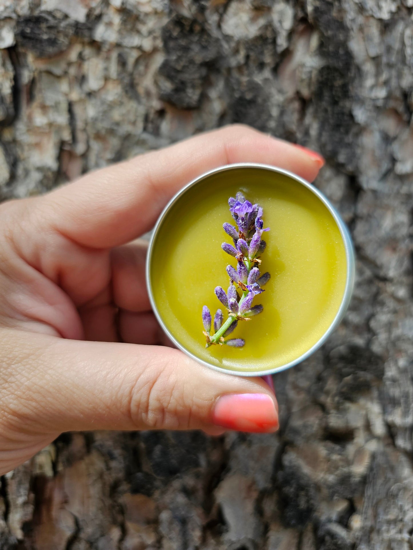 Simply Lavender Salve, Wildcrafted Garden Grown organic herbal balm, ethically created no scent added botanically infused handcrafted salve