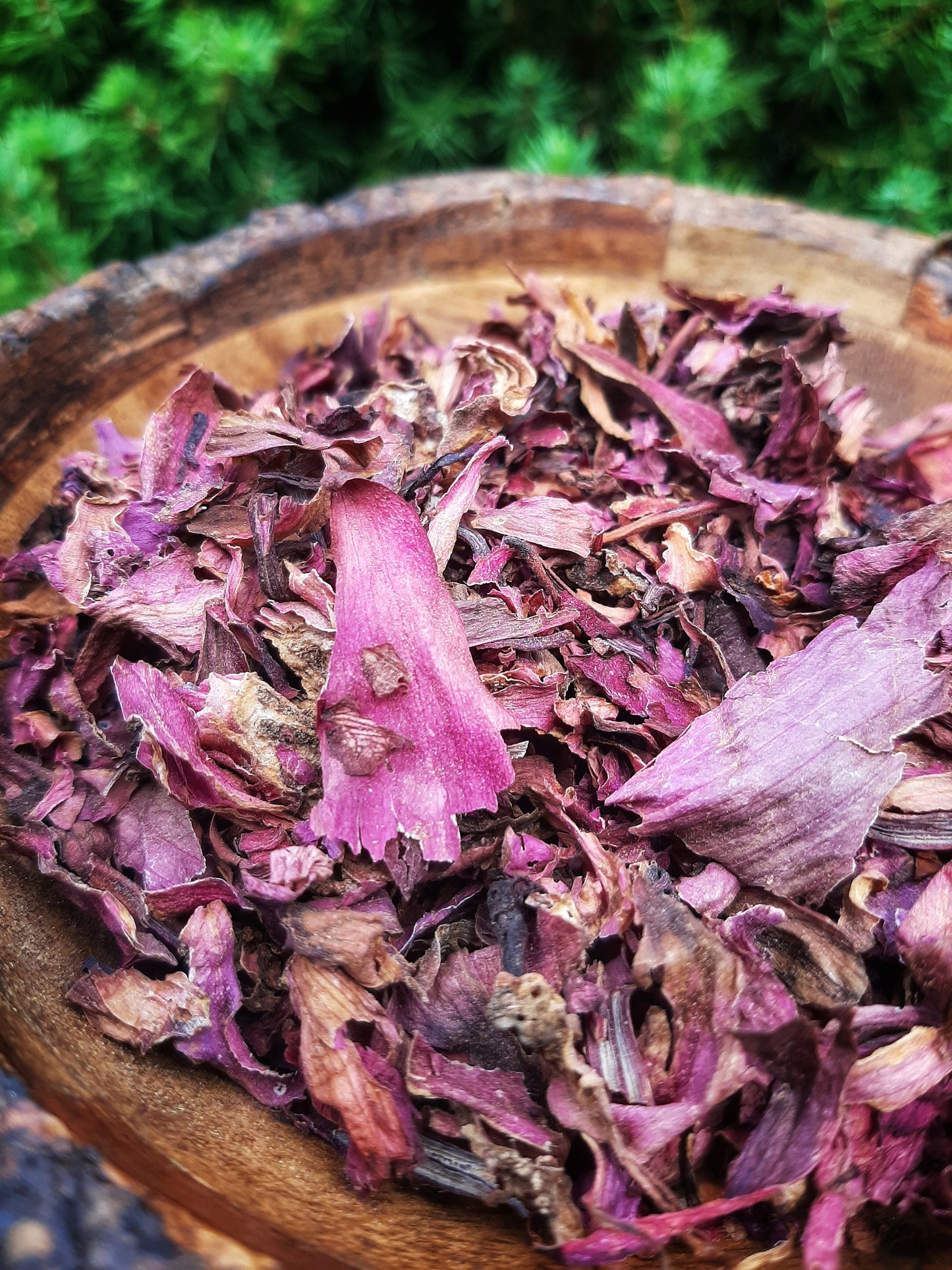 Red Lotus Sacred Indian Red Water Lily, Dried Nymphaea Rubra substitute Blue Lotus, Organic Hand Processed Premium High Grade Flower Petals