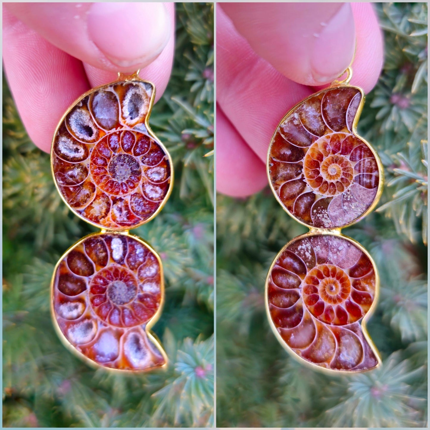 Natural Nautilus Fossil Pendant, Fossilized Ammonite Shell Necklace