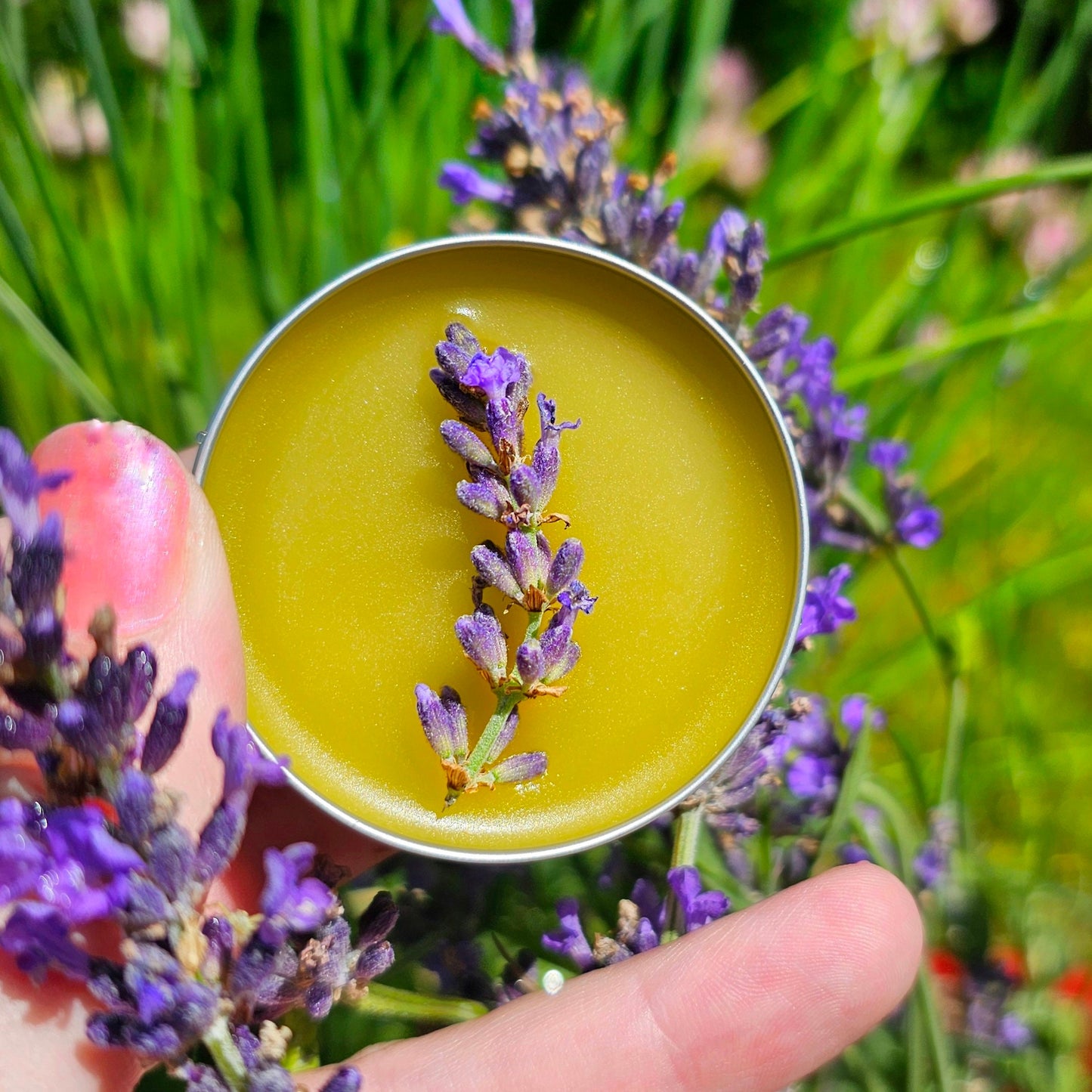 Simply Lavender Salve, Wildcrafted Garden Grown organic herbal balm, ethically created no scent added botanically infused handcrafted salve