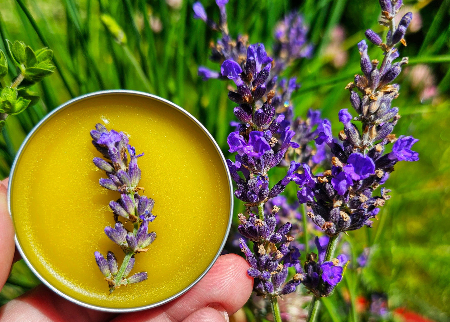 Simply Lavender Salve, Wildcrafted Garden Grown organic herbal balm, ethically created no scent added botanically infused handcrafted salve