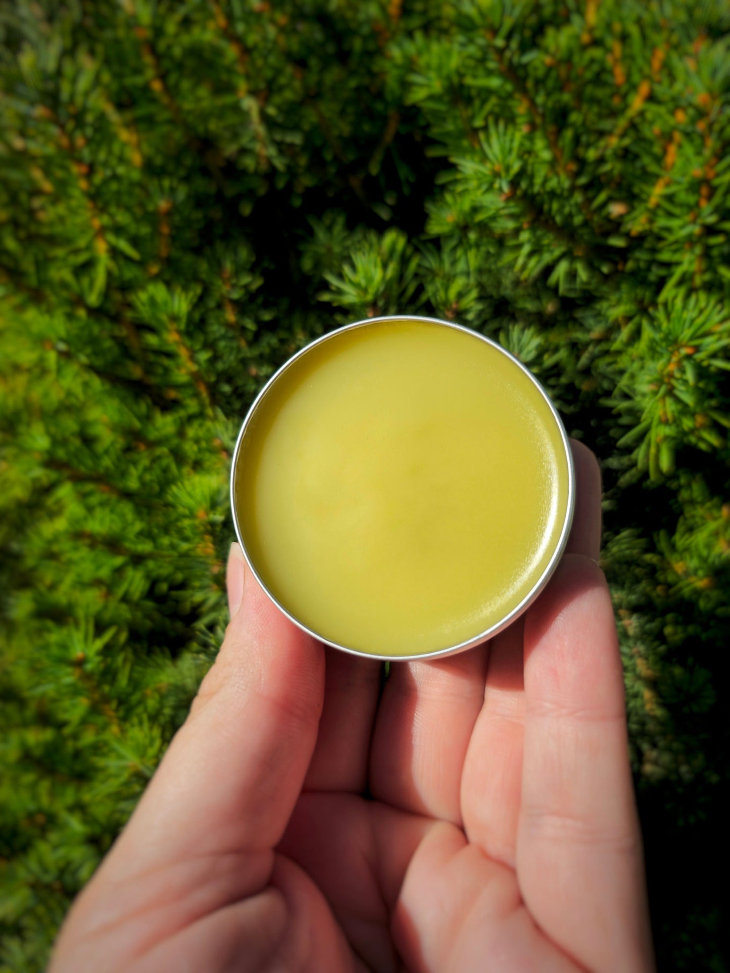 Simply Lavender Salve, Wildcrafted Garden Grown organic herbal balm, ethically created no scent added botanically infused handcrafted salve