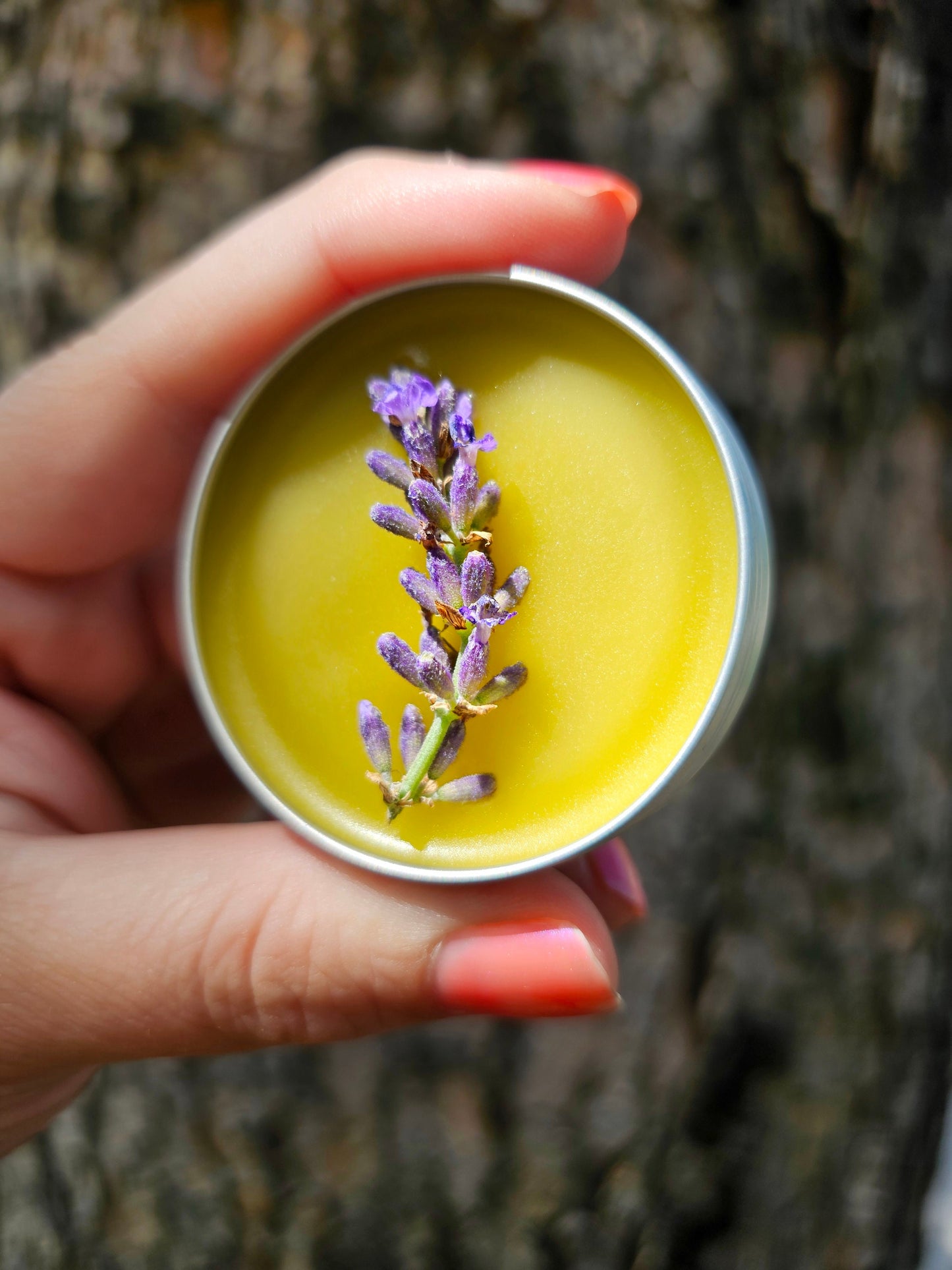 Simply Lavender Salve, Wildcrafted Garden Grown organic herbal balm, ethically created no scent added botanically infused handcrafted salve