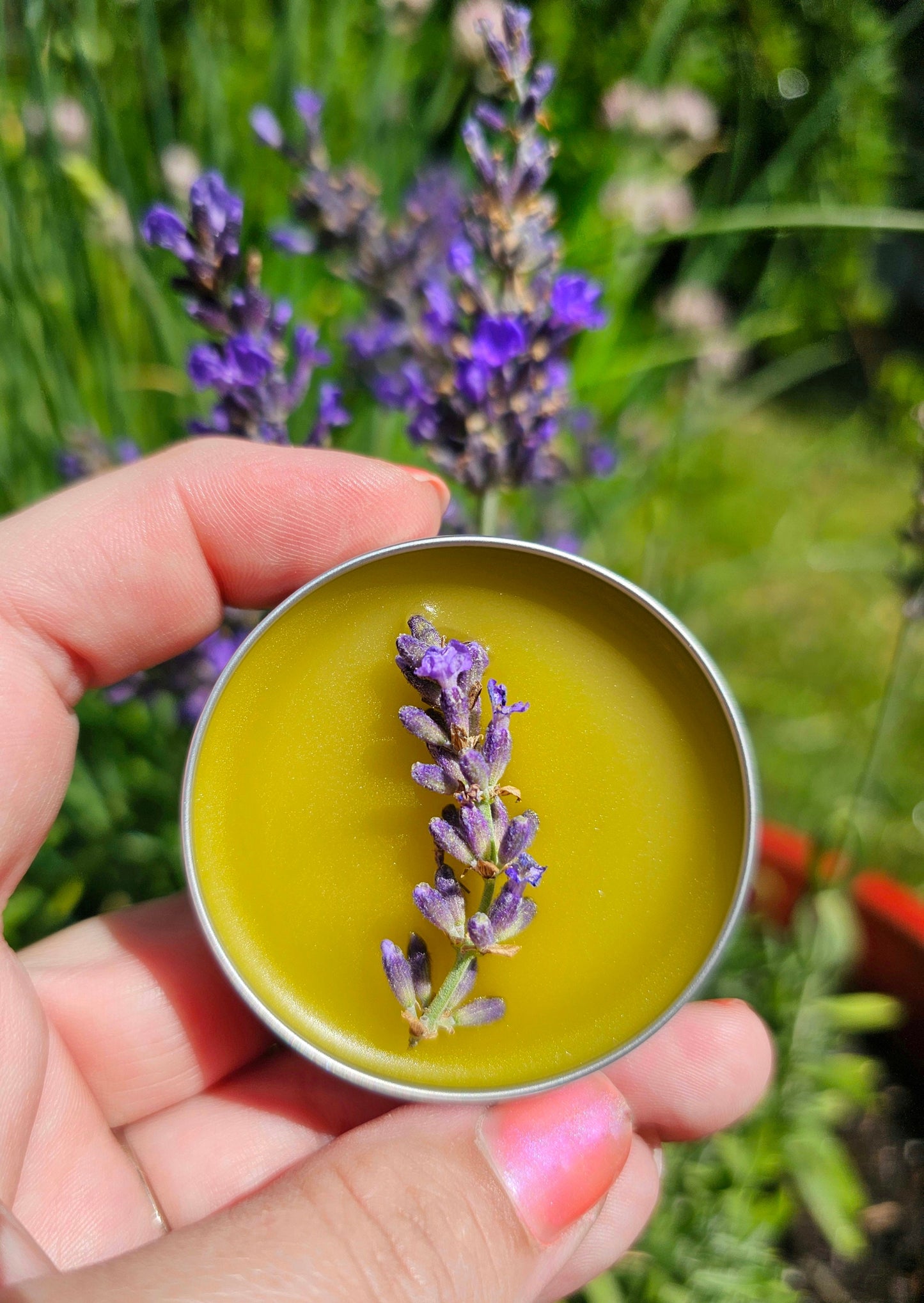Simply Lavender Salve, Wildcrafted Garden Grown organic herbal balm, ethically created no scent added botanically infused handcrafted salve