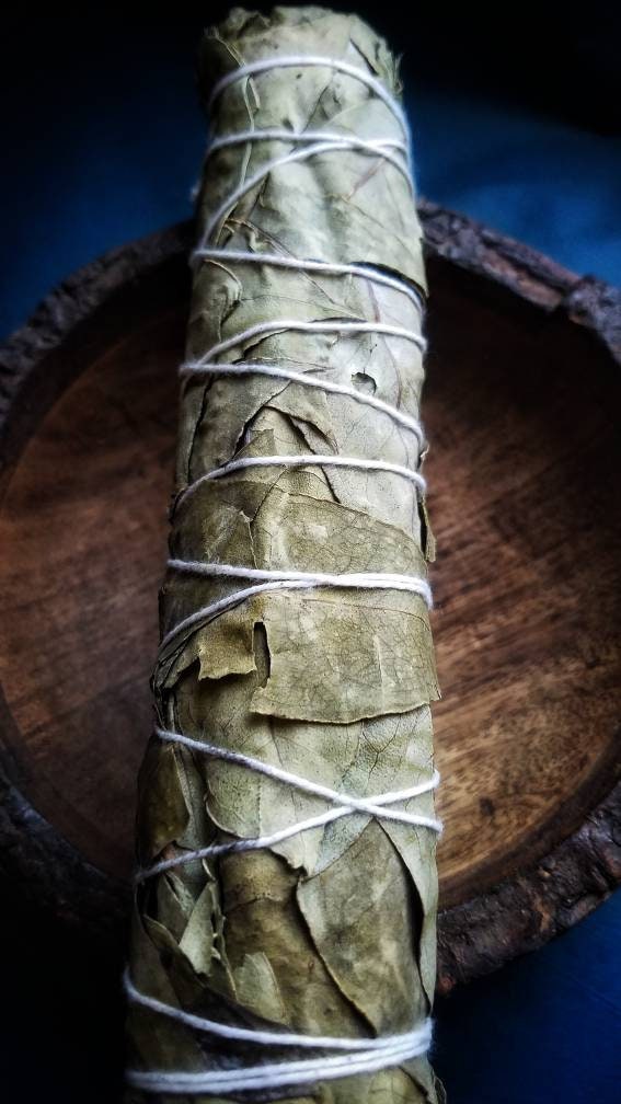 Eucalyptus Smudge Wands Smoke Cleansing Ritual House Smudging Cleanse Sage Sticks Natural Incense Dried Herb Bundles Altar Tools Protection