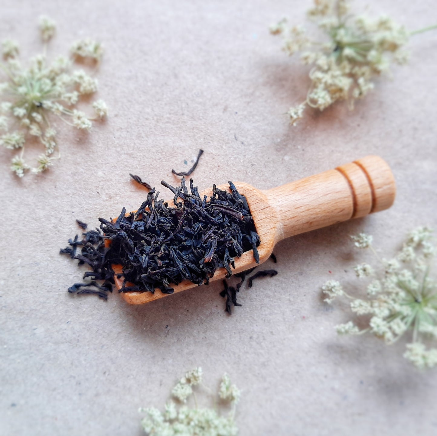 Assam Black Tea Gourmet Organic Loose Leaf Tea, Tippy Golden Flowery Orange Pekoe Black Tea, Tea Sample Set, Gift for Tea Lover, World Teas