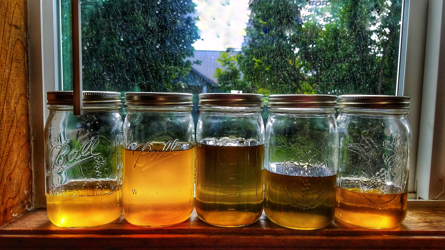 Simply Arnica Salve Soothing Herbal Topical Relief Balm with Natural Organic Ingredients