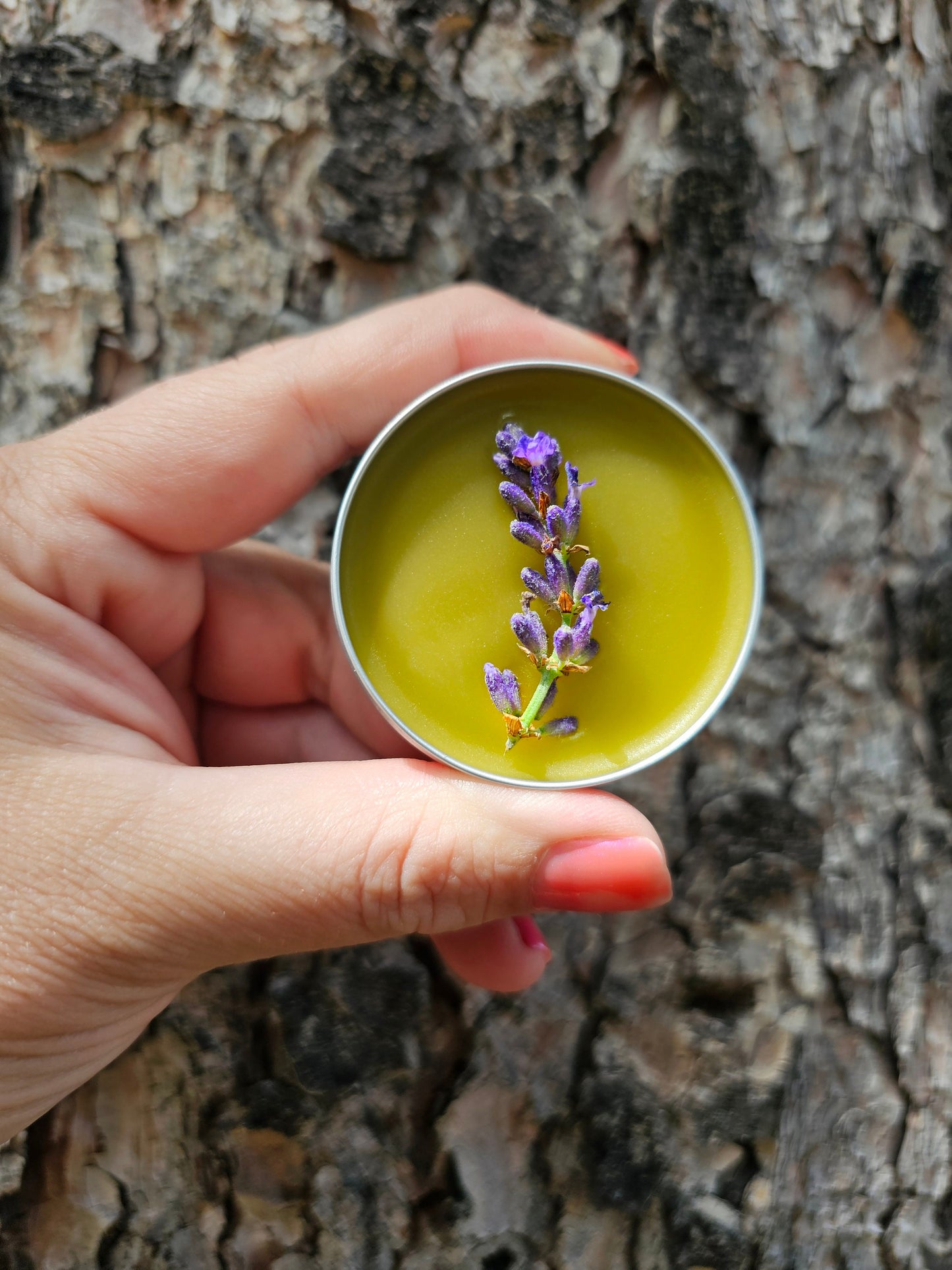 Simply Lavender Salve, Wildcrafted Garden Grown organic herbal balm, ethically created no scent added botanically infused handcrafted salve