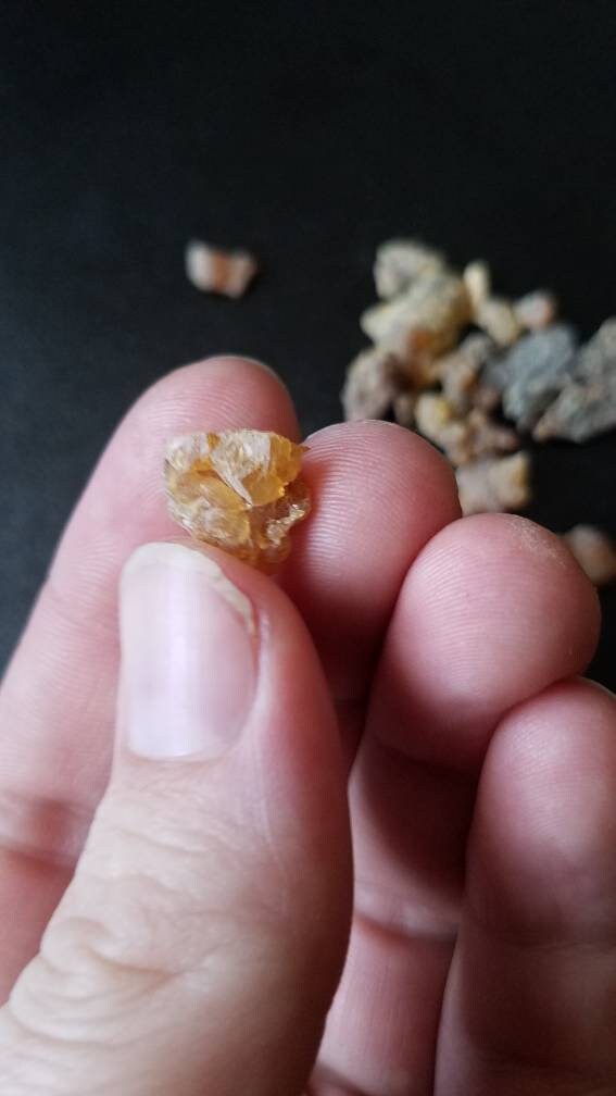 Resins and Gums Loose Incense Apothecary Herbalism Ritual Magic Chakra Work Herbal Set Witchcraft Supplies Hoodoo Poppet Love Spell