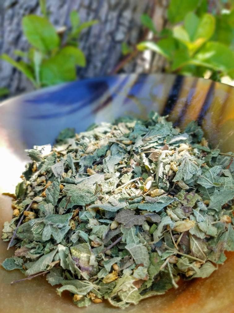 Calea Zacatechichi Mexican Dream Herb, Leaf of God Ritual, Lucid Dream Magic, Hand Processed Premium High Grade Calea Ternifolia Oneirogen