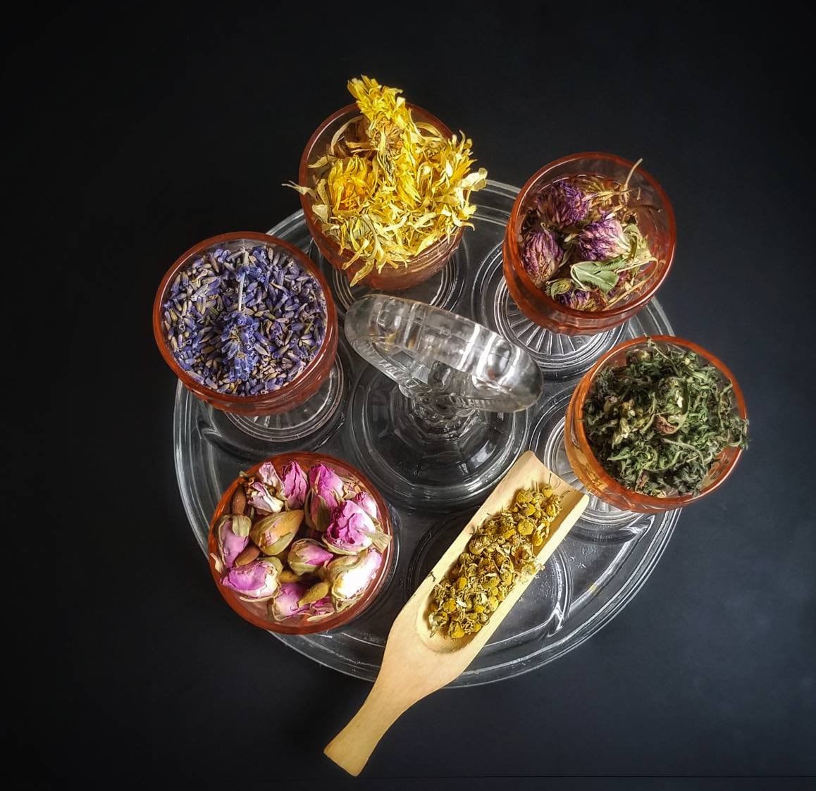 Sabbat Herb Sampler Apothecary Starter Kit Herbalism Incense Wicca Ritual Pagan Smudge Herb Chakra Reiki Wheel of the Year Magic