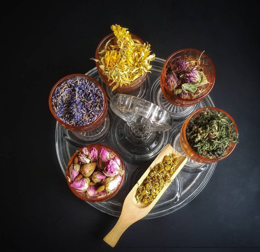 Sabbat Herb Sampler Apothecary Starter Kit Herbalism Incense Wicca Ritual Pagan Smudge Herb Chakra Reiki Wheel of the Year Magic