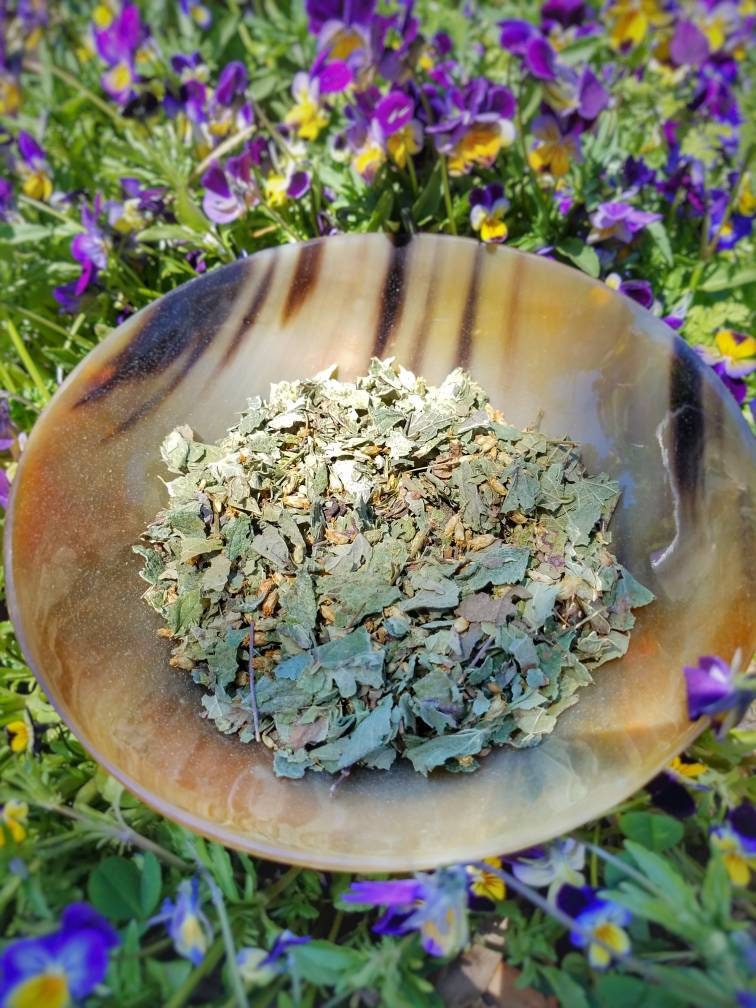 Calea Zacatechichi Mexican Dream Herb, Leaf of God Ritual, Lucid Dream Magic, Hand Processed Premium High Grade Calea Ternifolia Oneirogen