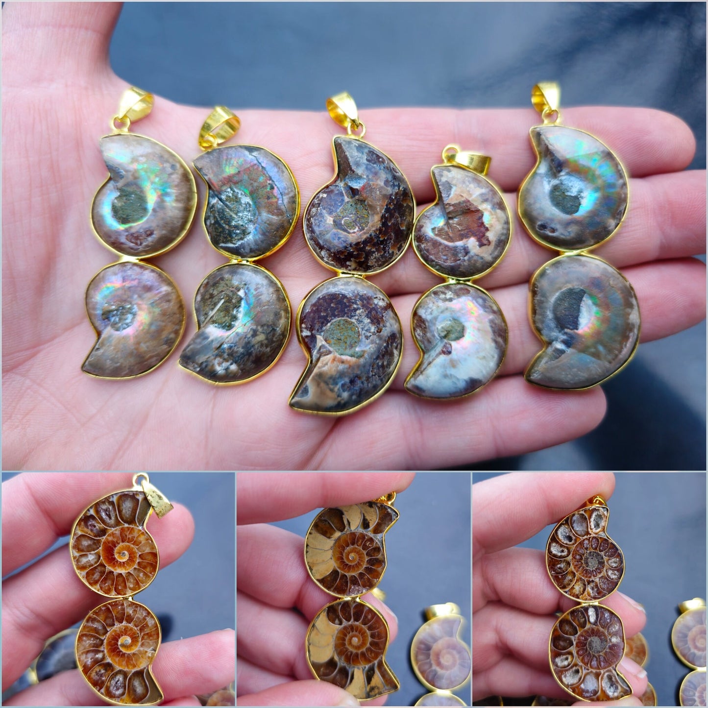 Natural Nautilus Fossil Pendant, Fossilized Ammonite Shell Necklace