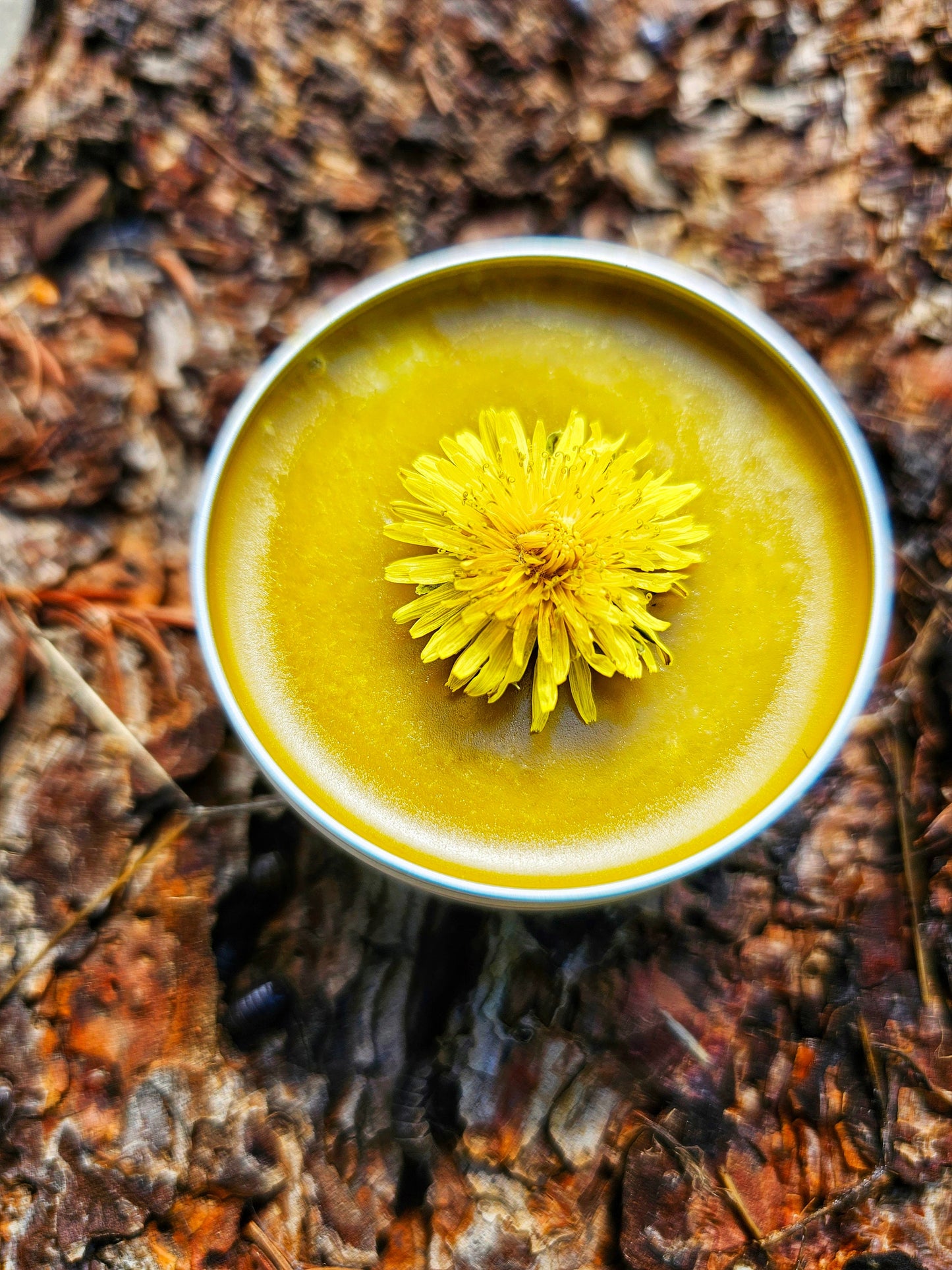 Simply Dandelion Salve, Organic Unscented Natural Skincare for Everyday Hydration & Softness, Herbal Moisturizing Balm for Rough Dry Skin