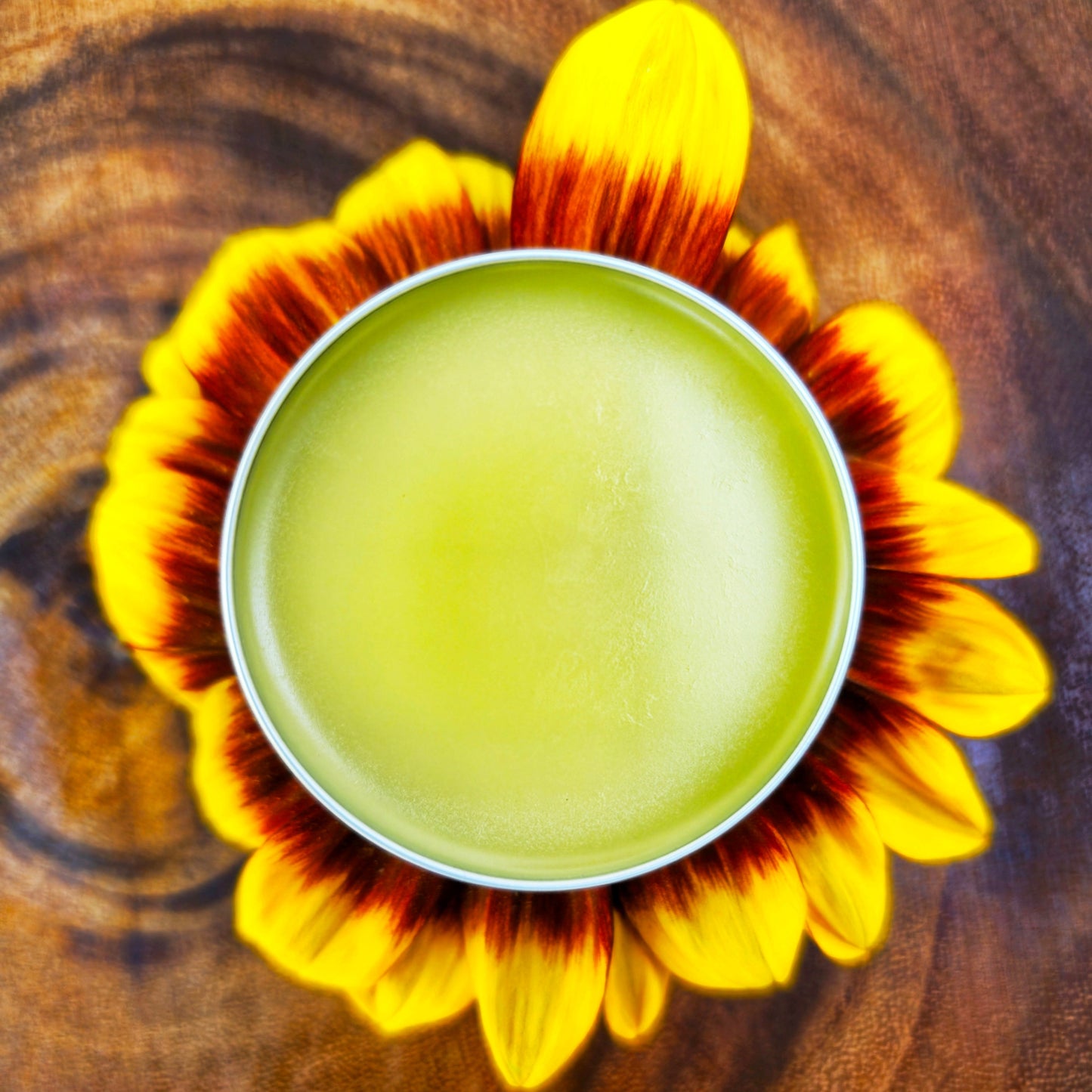 Simply Chamomile Salve, Wildcrafted Garden Grown organic herbal balm, ethically created unscented botanically infused handcrafted salve