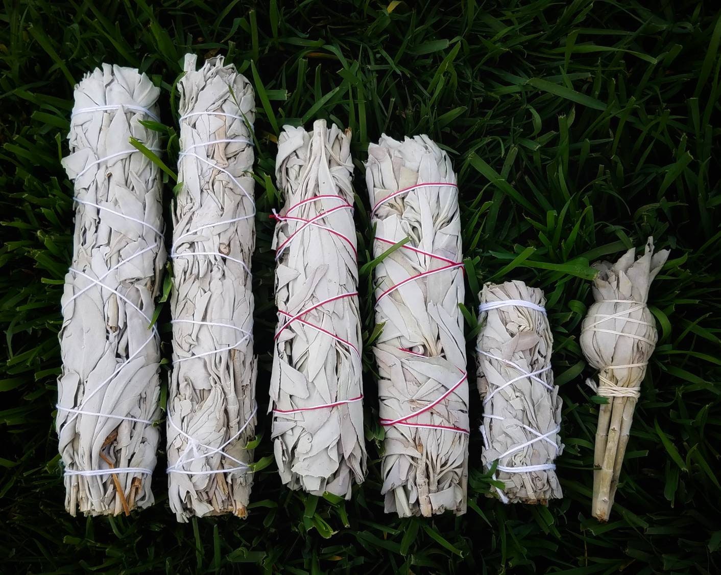Chakra Smudge Wand White Sage Smoke Cleansing Ritual House Smudging Cleanse California White Sage Natural Incense Smudging Herbal Altar Tool