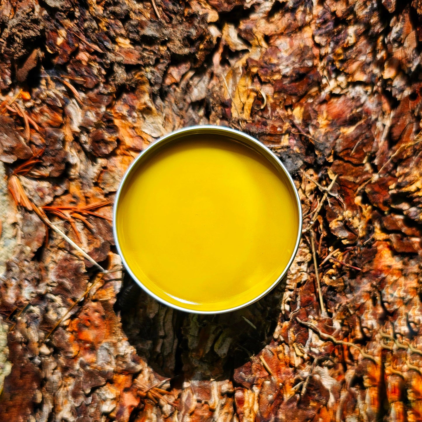 Simply Dandelion Salve, Organic Unscented Natural Skincare for Everyday Hydration & Softness, Herbal Moisturizing Balm for Rough Dry Skin