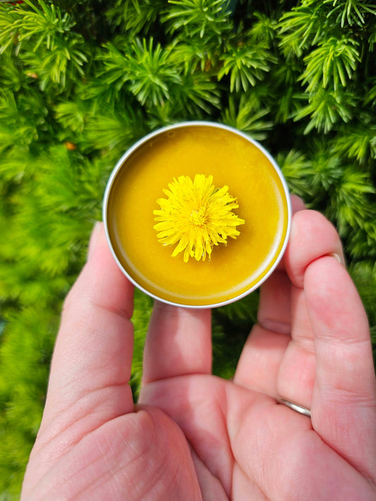 Simply Dandelion Salve, Organic Unscented Natural Skincare for Everyday Hydration & Softness, Herbal Moisturizing Balm for Rough Dry Skin