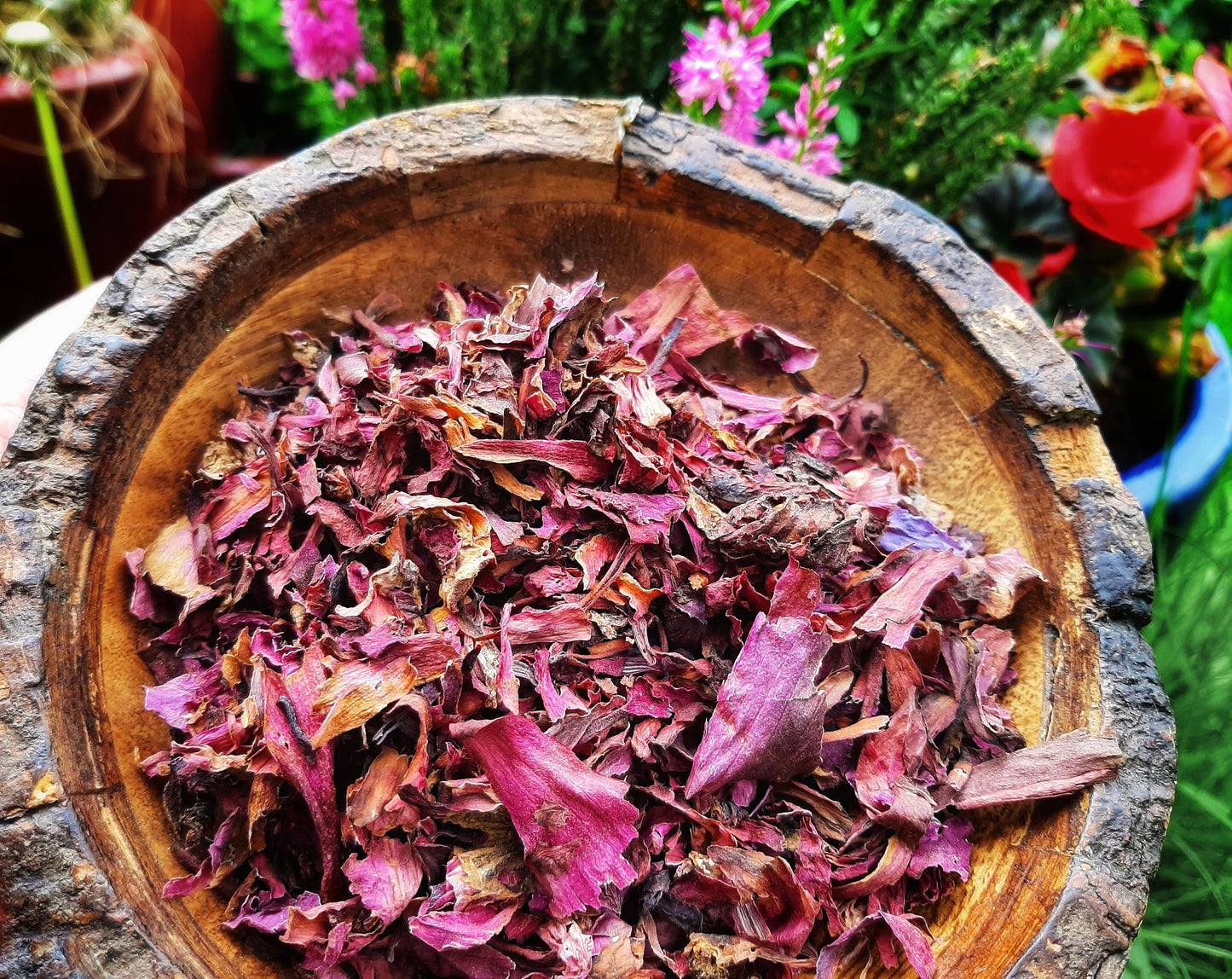 Red Lotus Sacred Indian Red Water Lily, Dried Nymphaea Rubra substitute Blue Lotus, Organic Hand Processed Premium High Grade Flower Petals