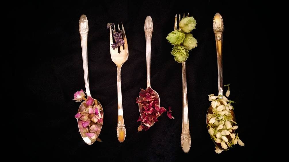 Apothecary Starter Kit Dried Herb Sampler Herbalism Ritual Wild Herbs Chakra Organic Wildcrafted Herbal Set Survivalist Learning