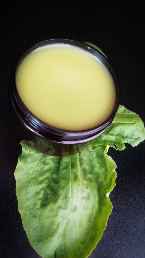 Simply Plantain Salve, Wildcrafted organic herbal balm, ethically created unscented botanically infused handcrafted salve