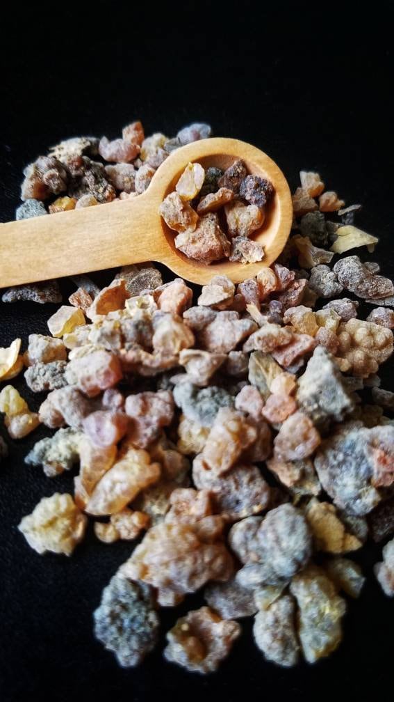 Resins and Gums Loose Incense Apothecary Herbalism Ritual Magic Chakra Work Herbal Set Witchcraft Supplies Hoodoo Poppet Love Spell