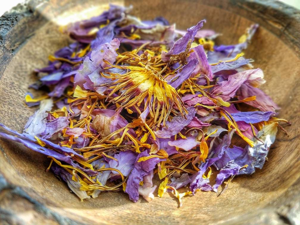 Egyptian Blue Lotus Sacred Water Lily, Dream Magic, Lucid Dream, Hand Processed Premium High Grade Nymphaea Caerulea Flower Petals & Stamens