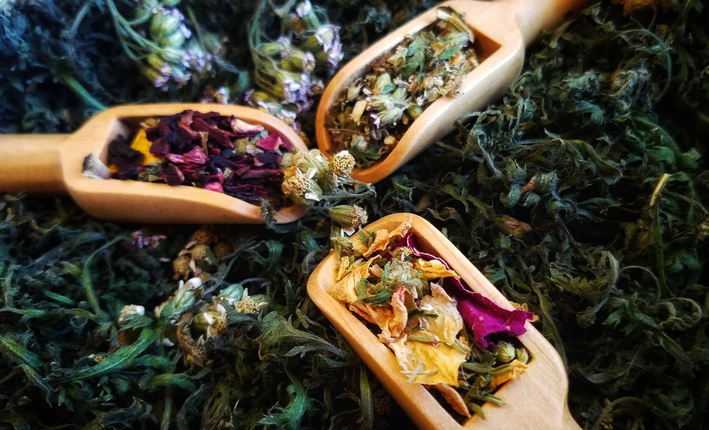 Witchy Tea Blends, Psychic Divination, Lucid Dreaming, Astral Projection, Third Eye Chakra Work Rituals, Vibe High Witch Magical Tea Bags