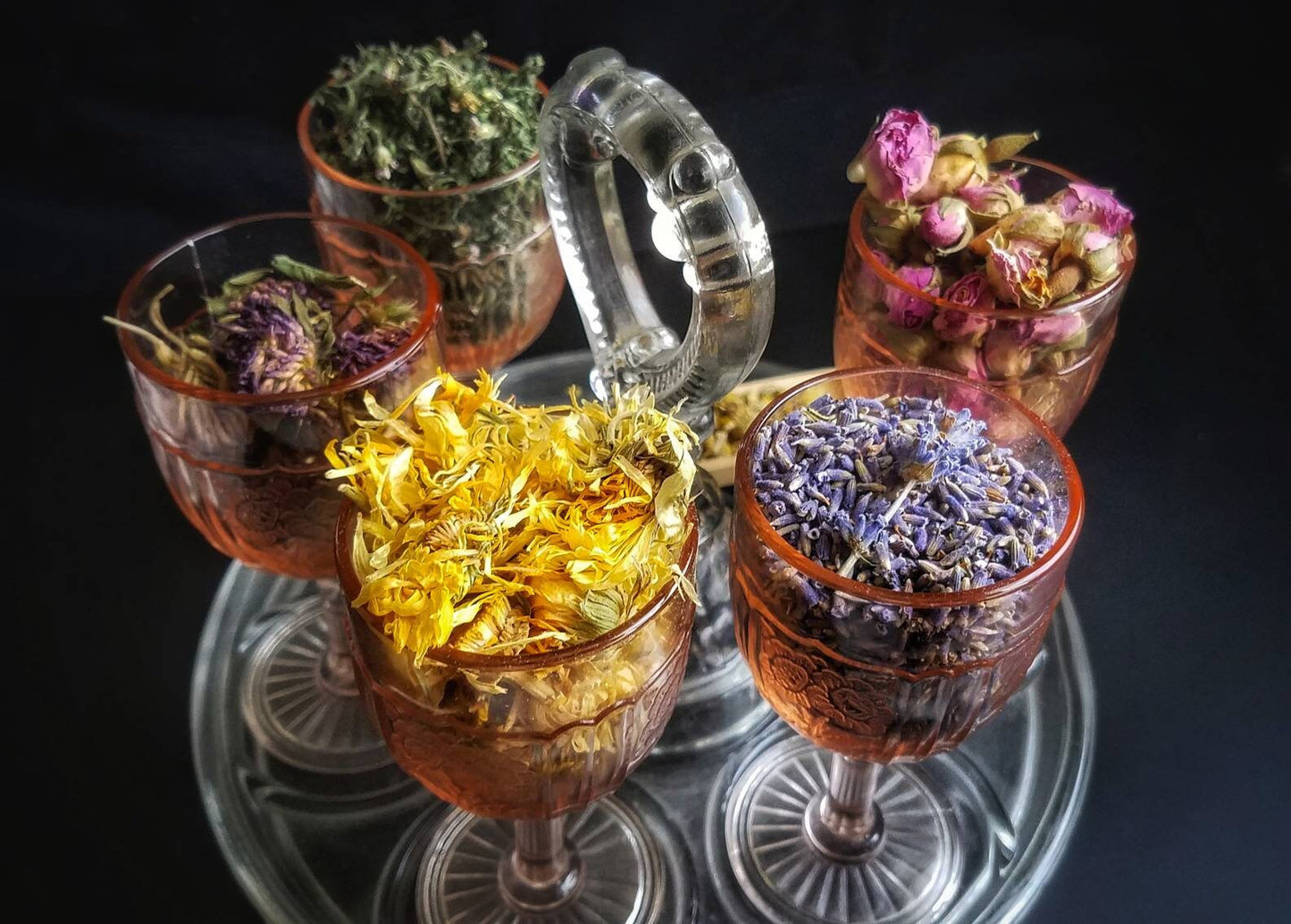 Sabbat Herb Sampler Apothecary Starter Kit Herbalism Incense Wicca Ritual Pagan Smudge Herb Chakra Reiki Wheel of the Year Magic