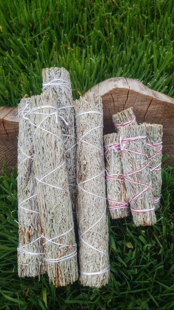 BLUE Sage Smudge Wand Smoke Cleansing Ritual House Smudging Cleanse Native Blue Sage Natural Incense Smudging Dried Sage Herb Altar Tools