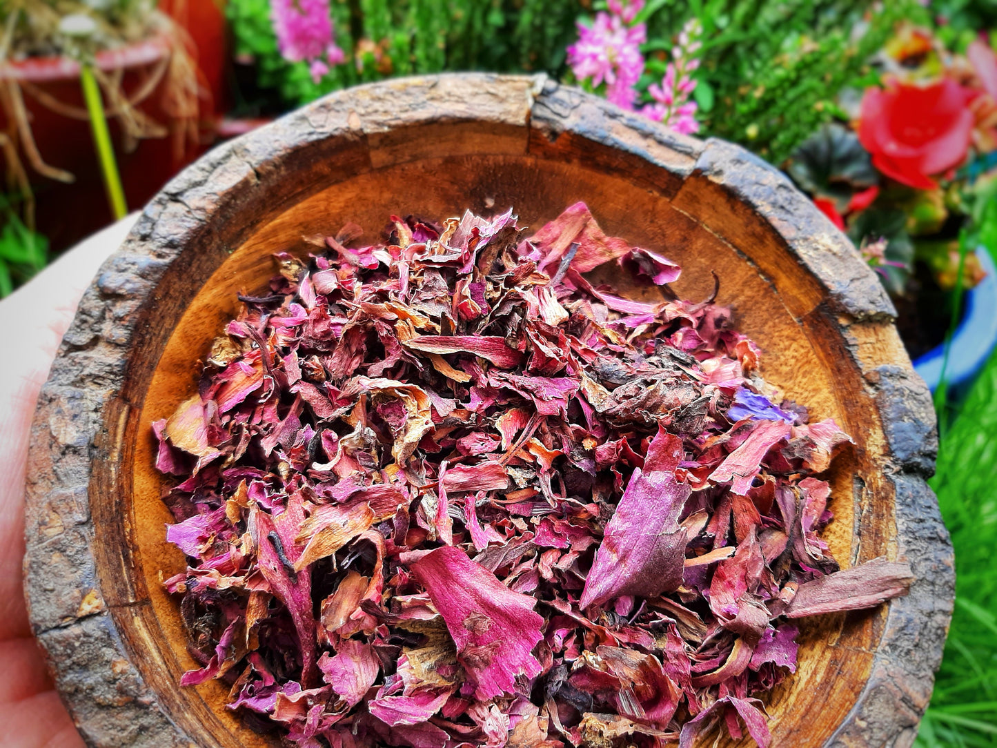 Red Lotus Sacred Indian Red Water Lily, Dried Nymphaea Rubra substitute Blue Lotus, Organic Hand Processed Premium High Grade Flower Petals