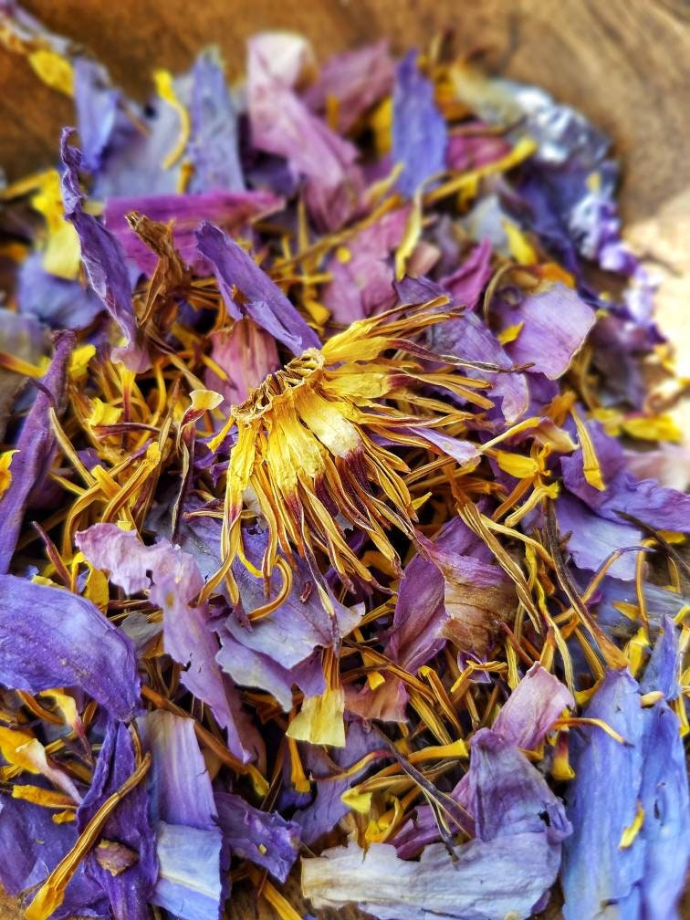 Egyptian Blue Lotus Sacred Water Lily, Dream Magic, Lucid Dream, Hand Processed Premium High Grade Nymphaea Caerulea Flower Petals & Stamens