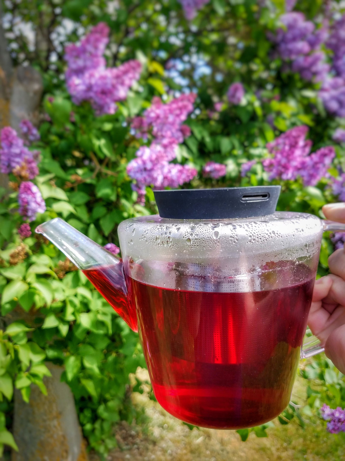 Moon Magic Tea Blends, Esbat Tea Rituals, Caffeine Free Devotional Blends, Moon Lodge Honoring Sacred Feminine, Esbat Celebration Herbal Tea