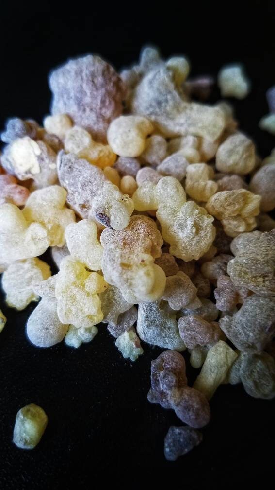 Resins and Gums Loose Incense Apothecary Herbalism Ritual Magic Chakra Work Herbal Set Witchcraft Supplies Hoodoo Poppet Love Spell
