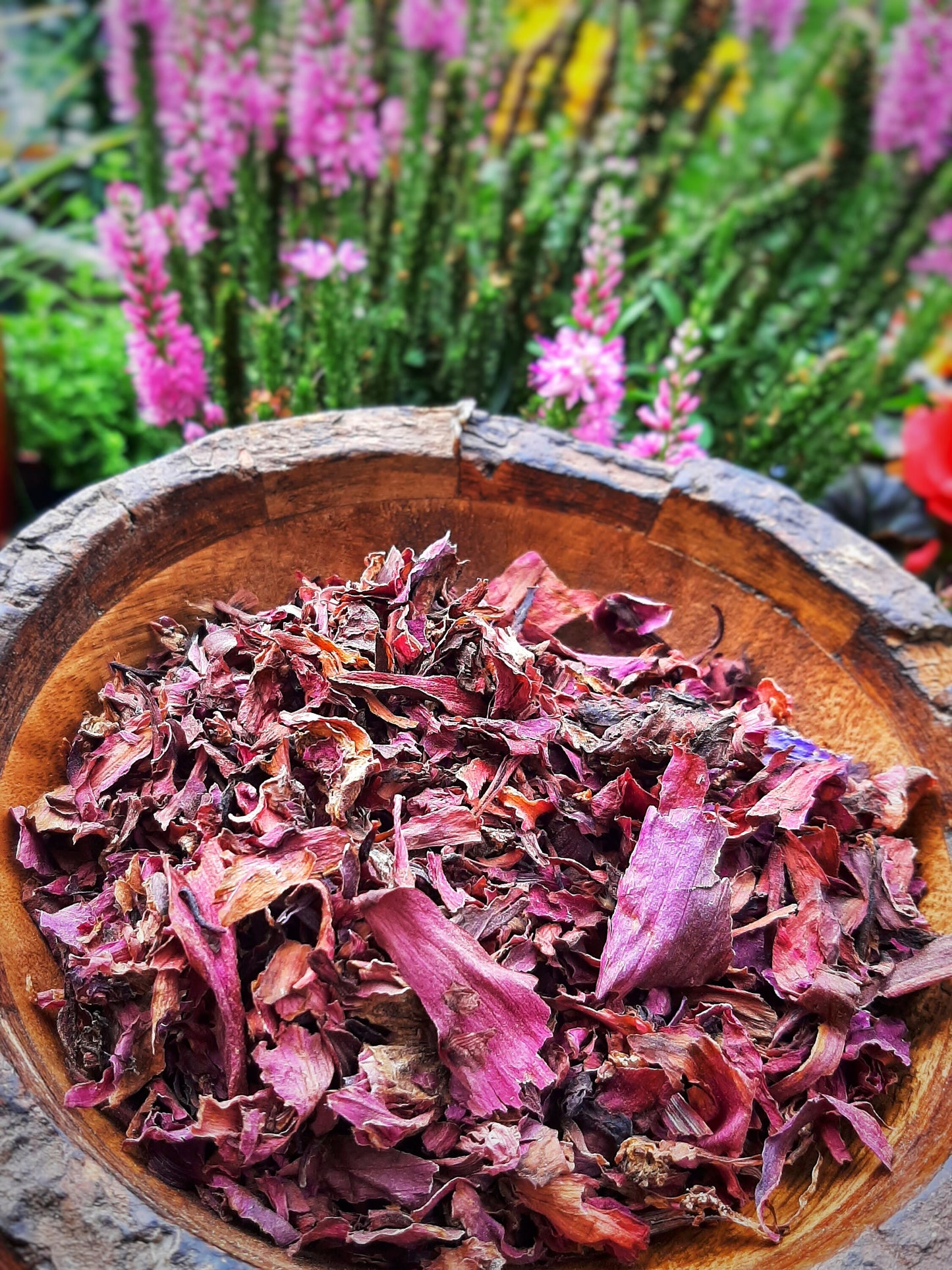 Red Lotus Sacred Indian Red Water Lily, Dried Nymphaea Rubra substitute Blue Lotus, Organic Hand Processed Premium High Grade Flower Petals