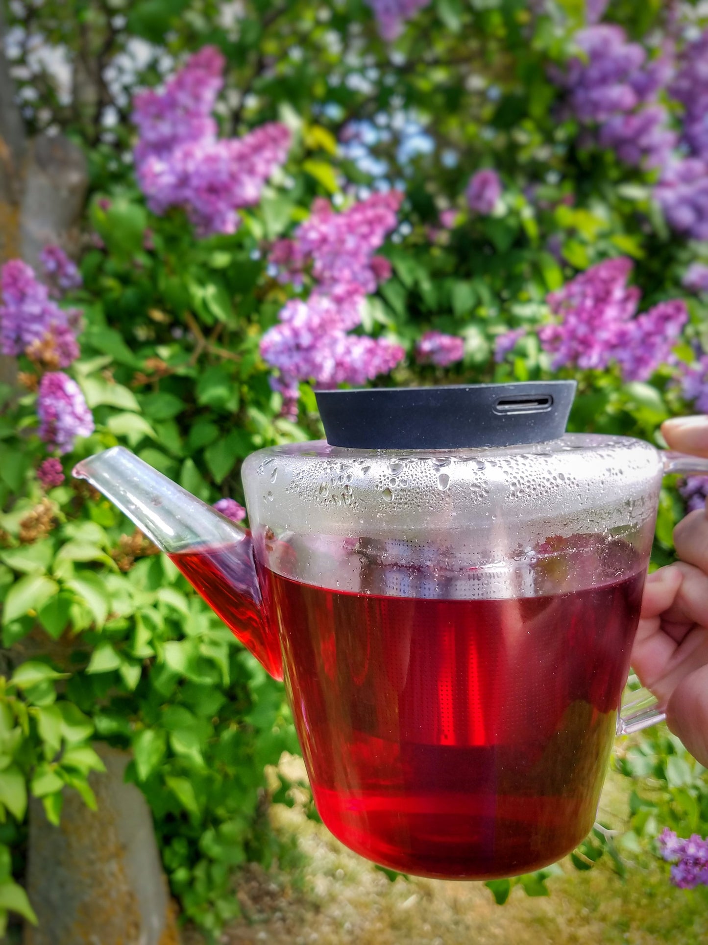 Dream Magic Tea Blends Lucid Dreaming, Astral Projection, Psychic Divination, Third Eye Chakra Work Rituals, Vibe High Witch Magical Tea Bag