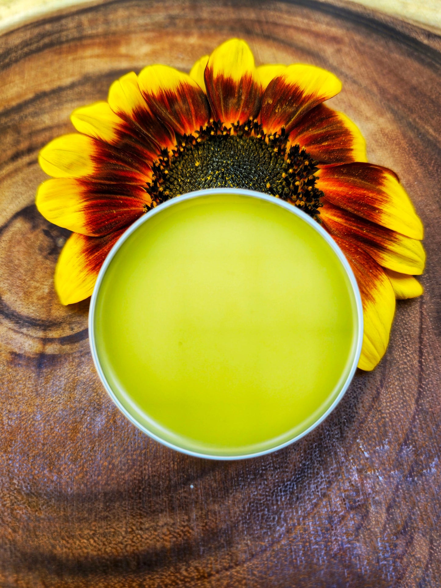 Simply Dandelion Salve, Organic Unscented Natural Skincare for Everyday Hydration & Softness, Herbal Moisturizing Balm for Rough Dry Skin