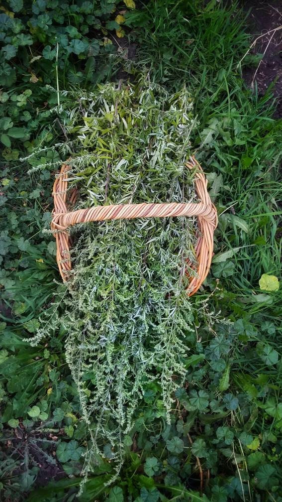 Third Eye Anointing Ointment, 3rd Eye Oil, Meditation, Dream Work Magick, Organic Mugwort Dream Balm, Lucid Dreaming Enhancer, Ajna Chakra