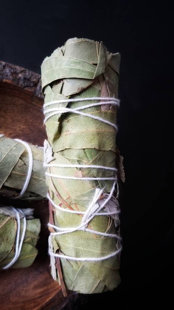 Eucalyptus Smudge Wands Smoke Cleansing Ritual House Smudging Cleanse Sage Sticks Natural Incense Dried Herb Bundles Altar Tools Protection