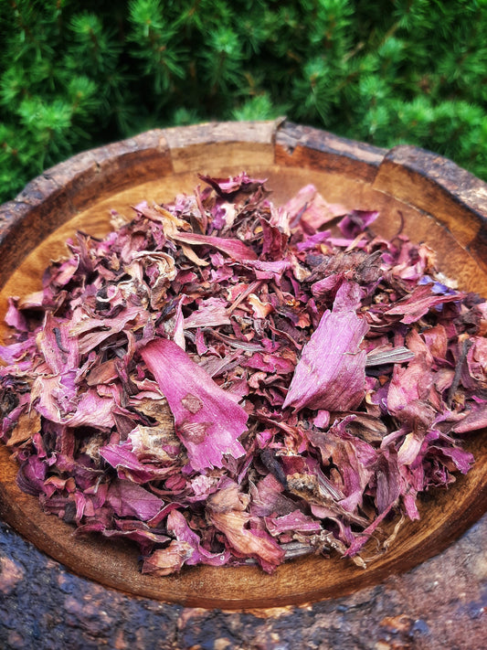 Red Lotus Sacred Indian Red Water Lily, Dried Nymphaea Rubra substitute Blue Lotus, Organic Hand Processed Premium High Grade Flower Petals
