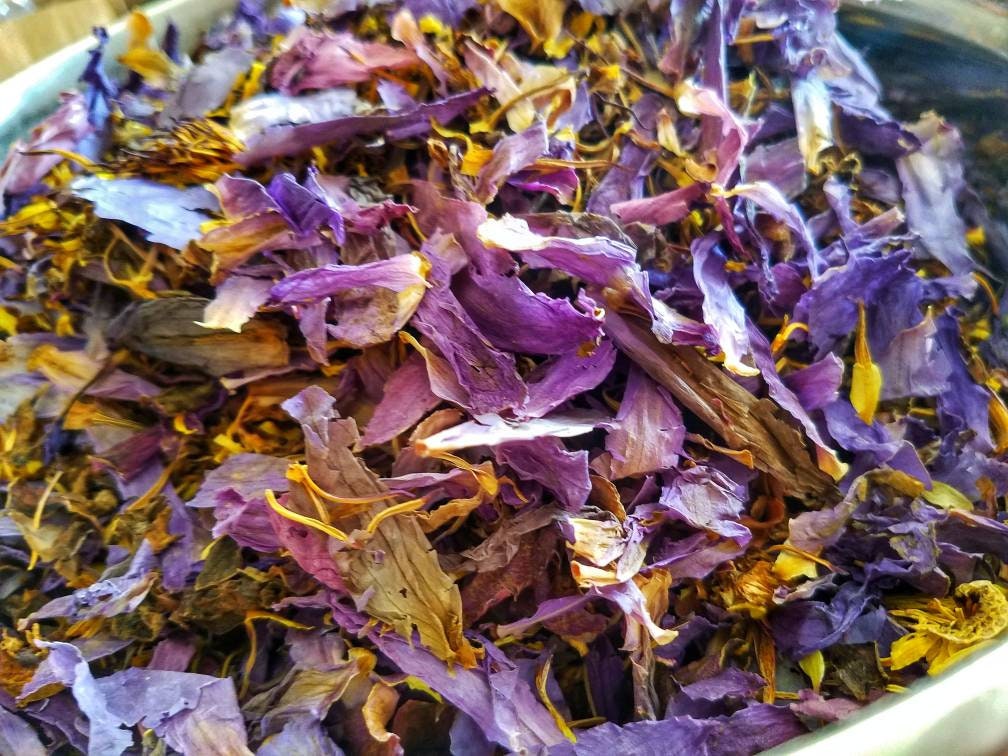 Egyptian Blue Lotus Sacred Water Lily, Dream Magic, Lucid Dream, Hand Processed Premium High Grade Nymphaea Caerulea Flower Petals & Stamens