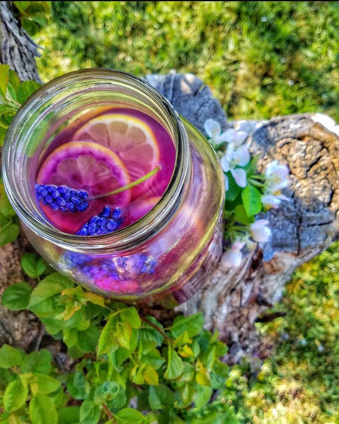 Blue Butterfly Pea Flower Loose Leaf Tea, all natural color changing magical teas,organic artisan gourmet caffeine free herbal tea drink mix