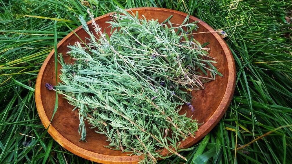 Eucalyptus Smudge Wands Smoke Cleansing Ritual House Smudging Cleanse Sage Sticks Natural Incense Dried Herb Bundles Altar Tools Protection