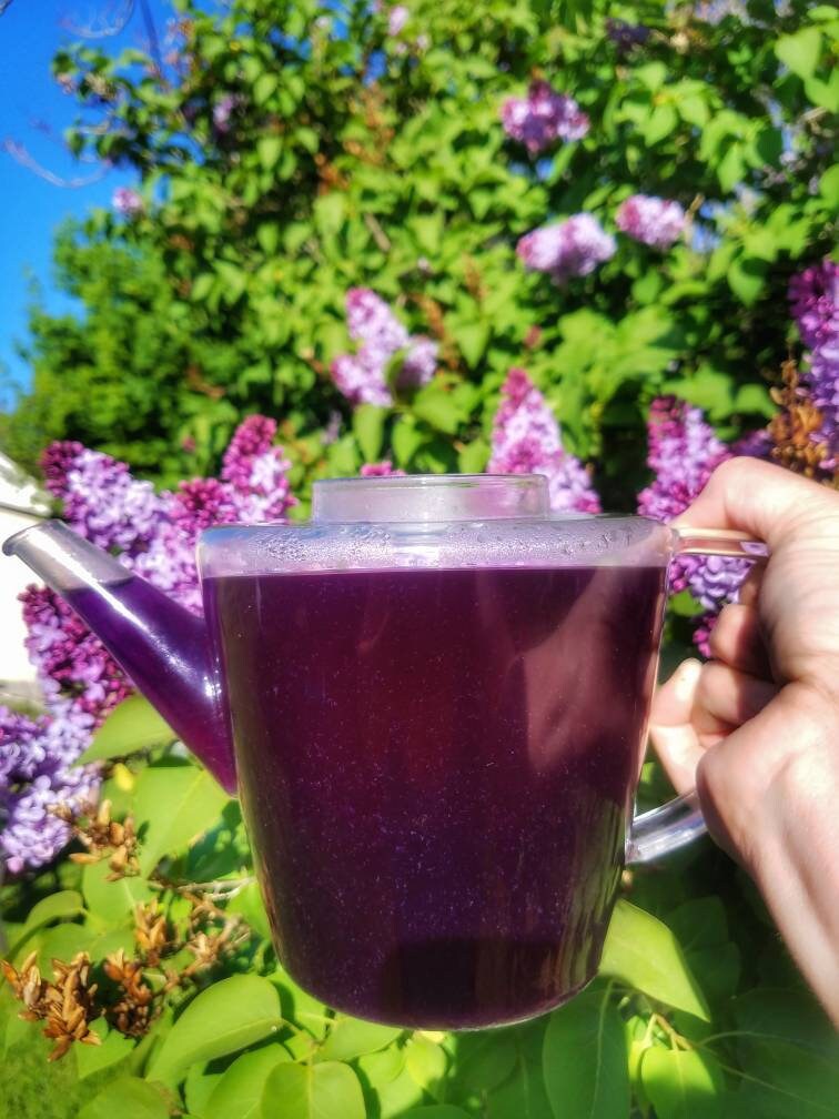 Blue Butterfly Pea Flower Loose Leaf Tea, all natural color changing magical teas,organic artisan gourmet caffeine free herbal tea drink mix