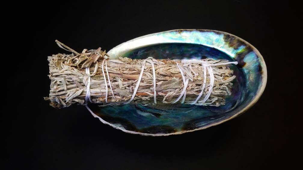 XL Natural Abalone Shell, Premium Blue Abalone, Blue Green Large Abalone, Beach House Decor, Smudging, Loose Incense, Altar Offering, Ritual