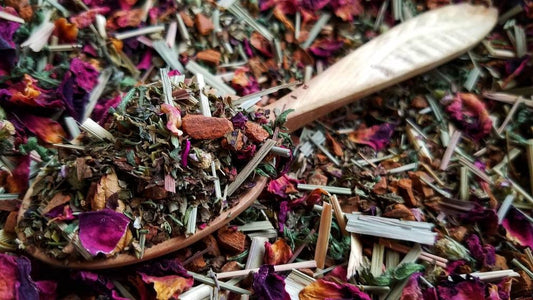 Appetite Suppressant Tea Herbal Blend Loose Leaf, handcrafted artisan wildcrafted organic loose leaf gourmet herbal tea, all natural support