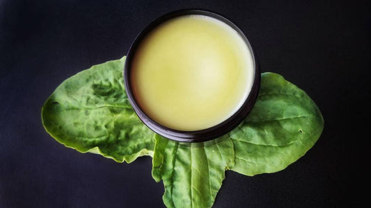 Simply Plantain Salve, Wildcrafted organic herbal balm, ethically created unscented botanically infused handcrafted salve